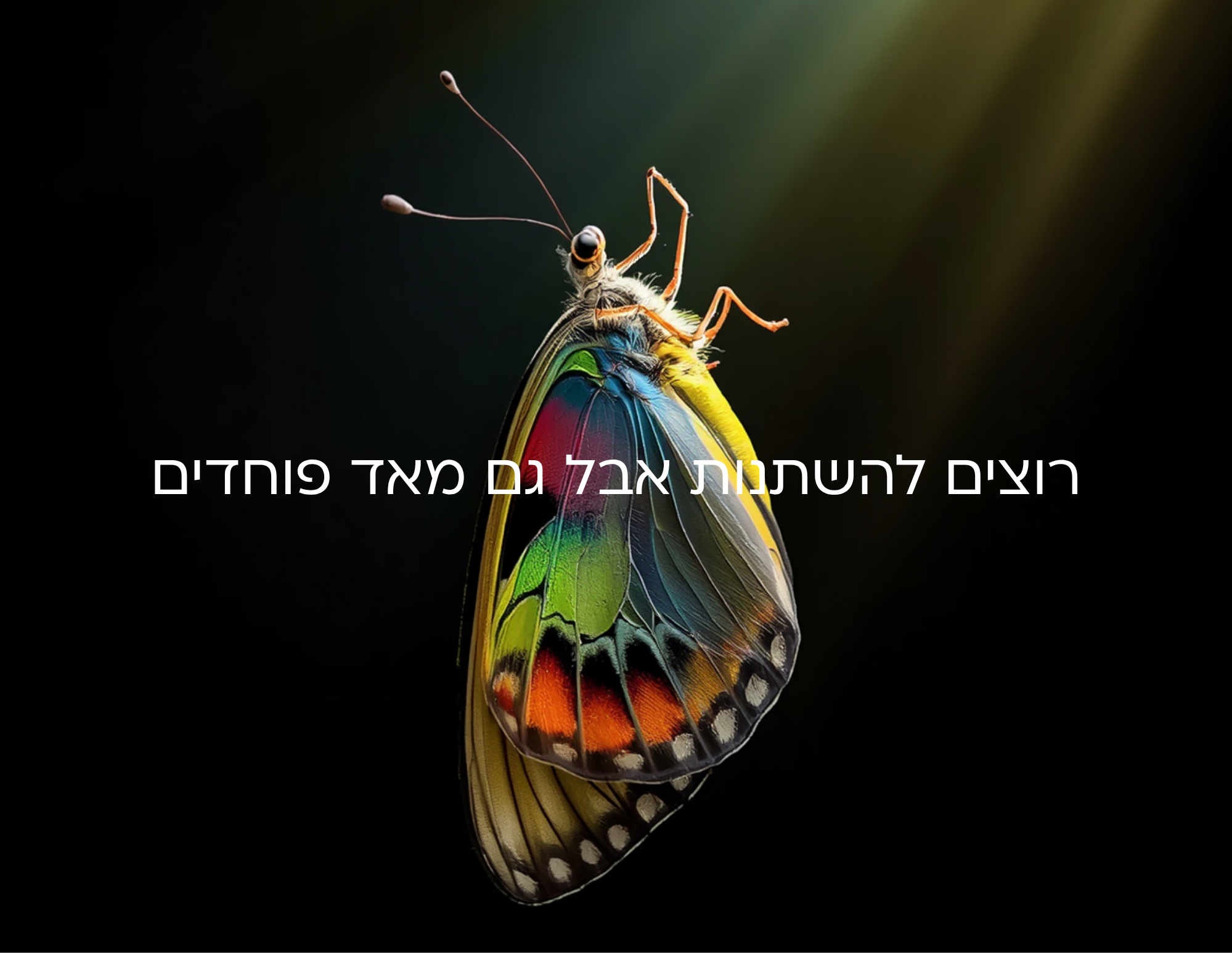 פרפר וטקסט שאומר שאנחנו רוצים להשתנות אבל גם מאד פוחדים מהשינוי
